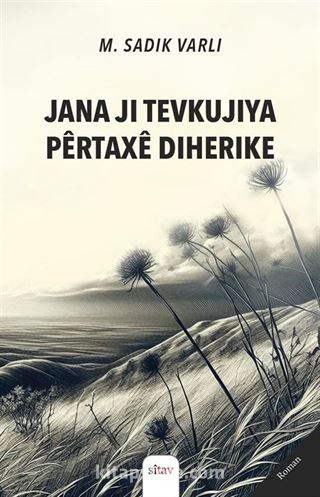 Jana Ji Tevkujiya Pêrtaxê Diherike