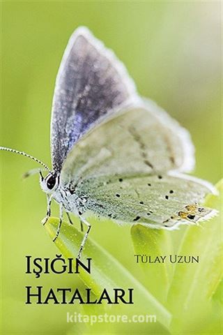 Işığın Hataları