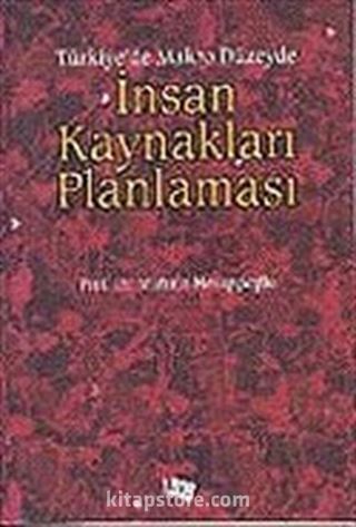 Türkiye'de Makro Düzeyde İnsan Kaynakları Planlaması