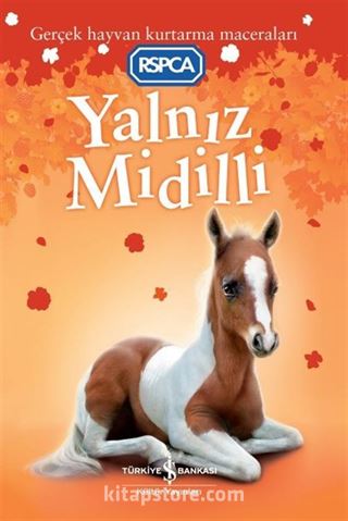 Yalnız Midilli