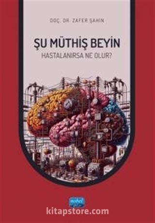 Şu Müthiş Beyin