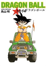 Dragon Ball 13 - 14