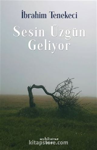 Sesin Üzgün Geliyor