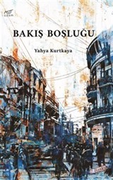 Bakış Boşluğu