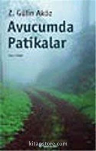 Avucumda Patikalar