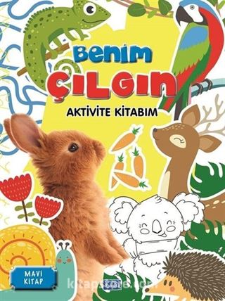 Benim Çılgın Aktivite Kitabım - Mavi Kitap