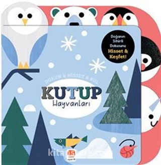 Dokun Hisset Bul / Kutup Hayvanları