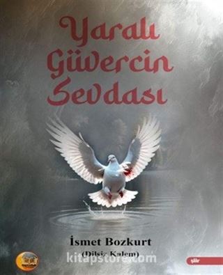 Yaralı Güvercin Sevdası