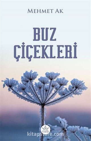 Buz Çiçekleri