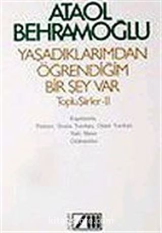 Yaşadıklarımdan Öğrendiğim Birşey Vay/Toplu Şiirler II