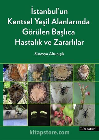 İstanbul'un Kentsel Yeşil Alanlarında Görülen Başlıca Hastalık ve Zararlılar