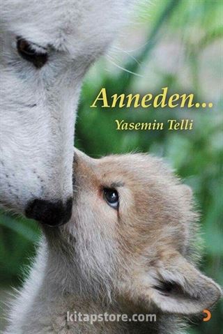 Anneden...