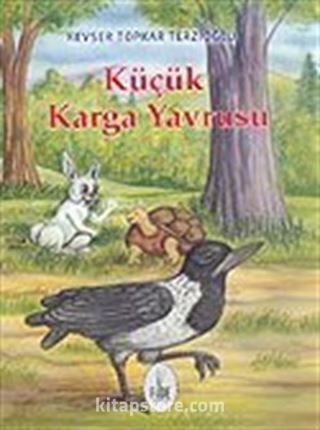 Küçük Karga Yavrusu