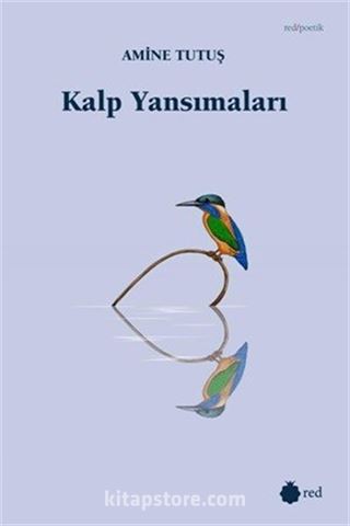 Kalp Yansımaları