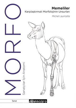 Morfo