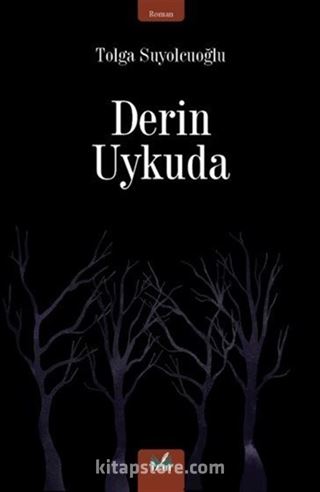 Derin Uykuda