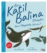 Bir Katil Balina Olsaydın Nasıl Hayatta Kalırdın?