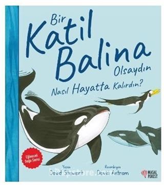 Bir Katil Balina Olsaydın Nasıl Hayatta Kalırdın?