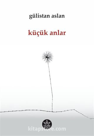 Küçük Anlar