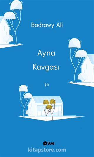 Ayna Kavgası