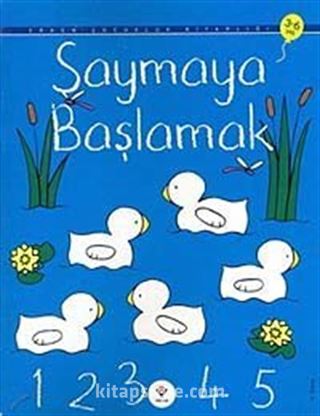 Saymaya Başlamak