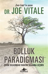 Bolluk Paradigması