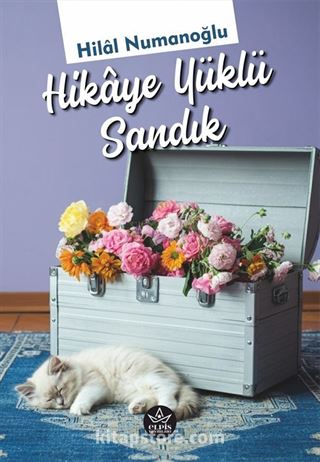 Hikaye Yüklü Sandık