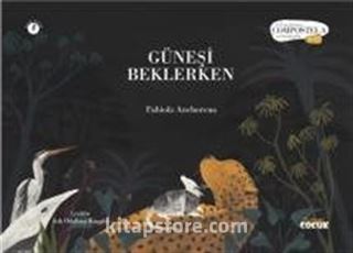 Güneşi Beklerken