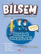 Bilsem 2 Deneme Sınavları