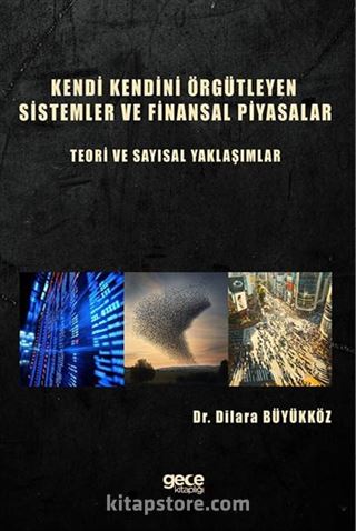 Kendi Kendini Örgütleyen Sistemler ve Finansal Piyasalar : Teori ve Sayısal Yaklaşımlar