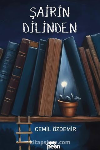 Şairin Dilinden