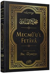 Mecmû'u'l-Fetava (22. cilt)