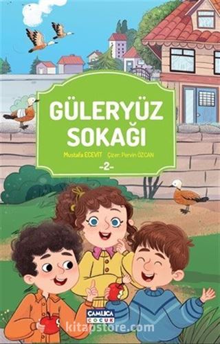 Güleryüz Sokağı 2