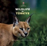 Wildlife Of Türkiye