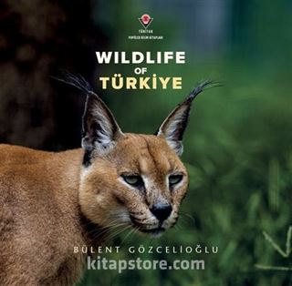 Wildlife Of Türkiye