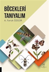 Böcekleri Tanıyalım