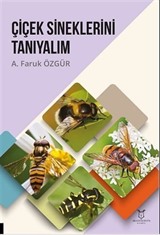 Çiçek Sineklerini Tanıyalım