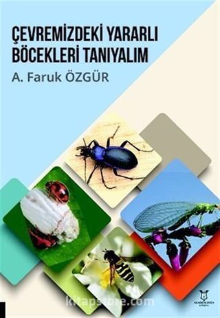 Çevremizdeki Yararlı Böcekleri Tanıyalım