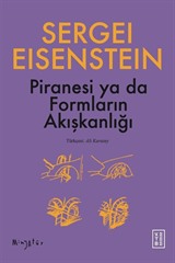 Piranesi ya da Formların Akışkanlığı