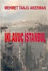 İki Avuç İstanbul