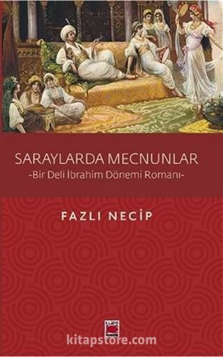 Saraylarda Mecnunlar