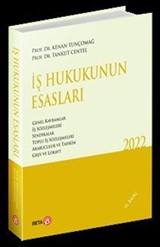 İş Hukukunun Esasları