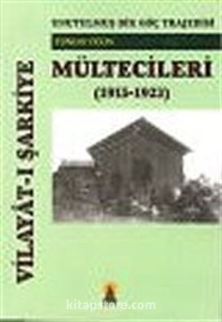 Vilayat-ı Şarkiye Mültecileri: Unutulmuş Bir Göç Trajedisi