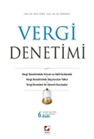 Vergi Denetimi