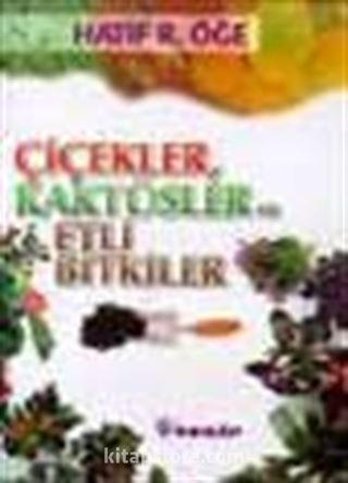 Çiçekler Kaktüsler ve Etli Bitkiler