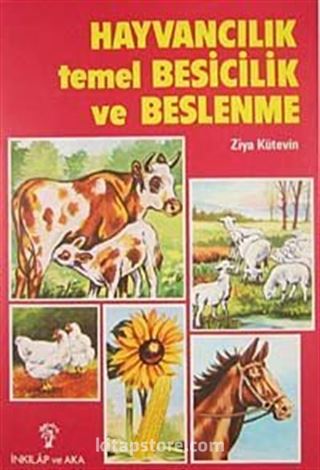 Hayvancılık, Temel Besicilik, Beslenme