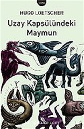 Uzay Kapsülündeki Maymun