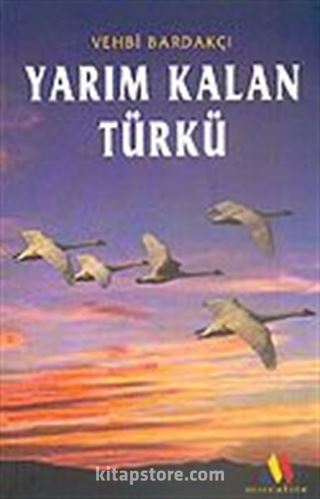 Yarım Kalan Türkü