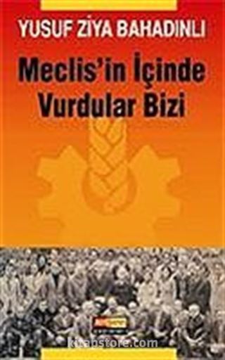 Meclis'in İçinde Vurdular Bizi