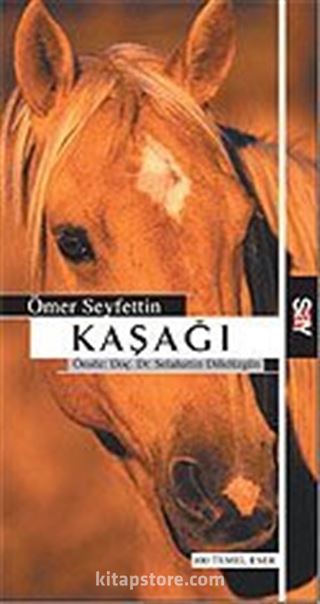 Kaşağı